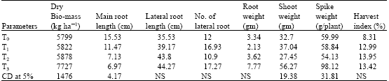 Image for - A Study on Salicornia (S. brachiata Roxb.) in Salinity Ingressed Soils of India