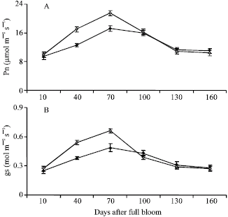 Image for - Seasonal Variations in Photosynthetic Activities of Pistachio Trees: A Comparison Between Fruiting (ON) and Non-Fruiting (OFF) Trees