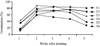 Image for - A Comparative Study of Pine Bark Substrate Alternatives in Tobacco (Nicotina tabacum) Float Seedling Production Systems