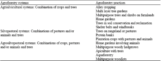 Image for - Definition and Classification of Traditional Agroforestry Practices in the West Mediterranean Region of Turkey
