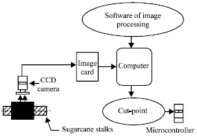 Image for - Identification of Sugarcane Nodes Using Image Processing and Machine Vision Technology