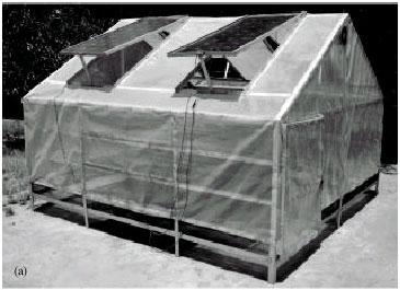 Image for - Design, Construction and Testing of Hybrid Photovoltaic Integrated Greenhouse Dryer