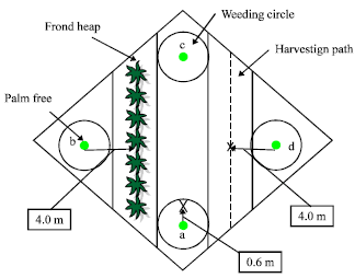 Image for - Spatial Variability of Soil Organic Carbon in Oil Palm: A Comparison Between  Young and Mature Stands