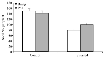 Image for - Water-Deficit Stress During Seed Filling in Contrasting Soybean Genotypes: Association of Stress Sensitivity with Profiles of Osmolytes and Antioxidants