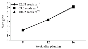 Image for - Effects of Sowing Methods and Plant Population Densities on Root Development of Cacao (Theobroma cacao L.) Seedlings in the Nursery