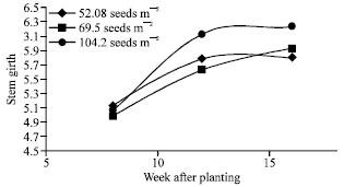 Image for - Effects of Sowing Methods and Plant Population Densities on Root Development of Cacao (Theobroma cacao L.) Seedlings in the Nursery