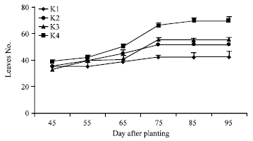 Image for - Foliar Potassium Fertilization and its Effect on Growth, Yield and Quality of Potato Grown under Loam-sandy Soil and Semi-arid Conditions