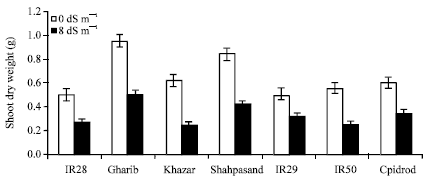 Image for - Effect of Salinity on Morphological and Physiological Characteristics in Correlation to Selection of Salt Tolerance in Rice (Oryza sativa L.)