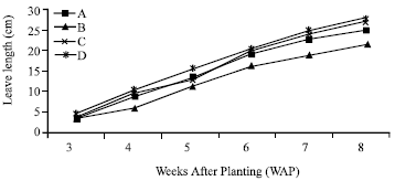 Image for - Effect of Tillage Methods and Fertilizer Applications on Amaranthus curentus in Nigeria