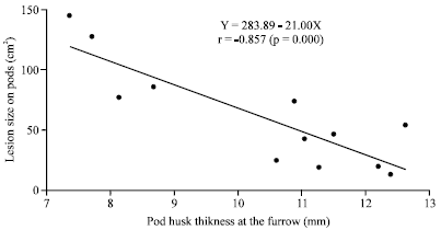 Image for - Thickness of the Cocoa Pod Husk and its Moisture Content as Resistance Factors to Phytophthora Pod Rot