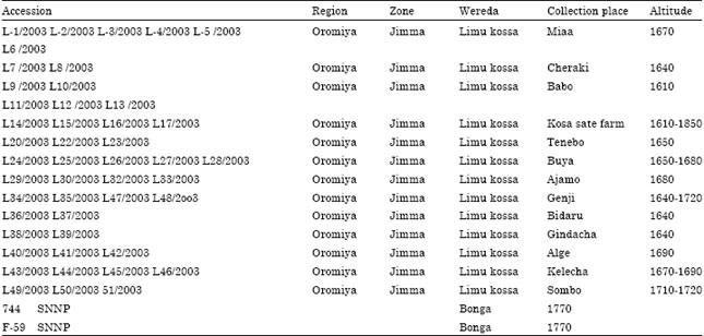 Image for - Genetic Diversity Analysis of Limmu Coffee (Coffea arabica L.) Collection using Quantitative Traits in Ethiopia