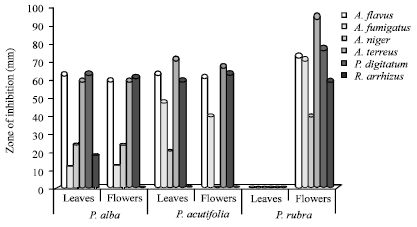 Image for - Comparative Studies of Plumeria Species for their Phytochemical and Antifungal Properties Against Citrus sinensis Pathogens