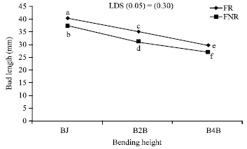 Image for - Quality of Greenhouse Roses (Rosa hybrida L.) as Affected by Height and Stage of Shoot Bending and Flower Bud Removal