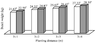 Image for - Growth, Yield and Fruit Quality of Williams Banana as Affected by Different Planting Distances