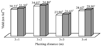 Image for - Growth, Yield and Fruit Quality of Williams Banana as Affected by Different Planting Distances