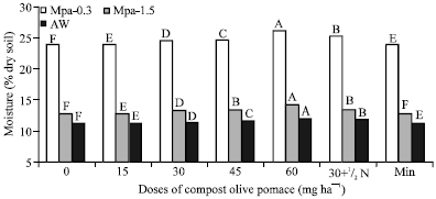 Image for - Use of Composted Olive Waste as Soil Conditioner and its Effects on the Soil