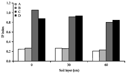 Image for - Assessment of Soil Environmental Quality at a Vineyard in Ningbo, China