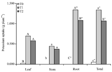 Image for - Use of Clinoptilolite Zeolite on Selected Soil Chemical Properties, Dry  Matter Production, Nutrients Uptake and Use Efficiency of Zea mays Cultivated  on an Acid Soil