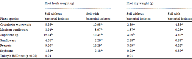 Image for - Effect of Plant Species and Bacterial Isolates to Development of the Plant  Biomass and Total Microorganisms of Contaminated Soil