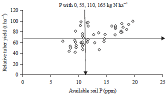 Image for - Potato (Solanum tuberosum L.) Growth and Tuber Quality, Soil Nitrogen and Phosphorus Content as Affected by Different Rates of Nitrogen and Phosphorus at Masha District in Southwestern Ethiopia