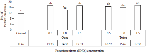 Image for - Potassium Forms as a Macronutrient Application to Maximize Fruit and Oil Productivity of Jatropha curcas (Part 2: The use of Potassium Nitrate (KNO3))