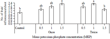 Image for - Potassium Forms as a Macronutrient Application to Maximize Fruit and Oil Productivity of Jatropha curcas (Part 1: The use of Mono Potassium Phosphate (MKP))