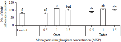 Image for - Potassium Forms as a Macronutrient Application to Maximize Fruit and Oil Productivity of Jatropha curcas (Part 1: The use of Mono Potassium Phosphate (MKP))