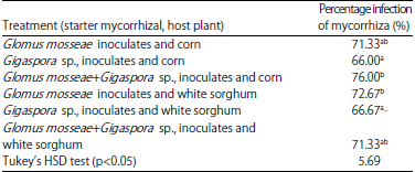 Image for - Propagation Techniques of Mycorrhizal Bio-fertilizer with Different Types of Mycorrhiza Inoculant and Host Plant in Entisol Aceh
