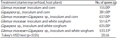 Image for - Propagation Techniques of Mycorrhizal Bio-fertilizer with Different Types of Mycorrhiza Inoculant and Host Plant in Entisol Aceh
