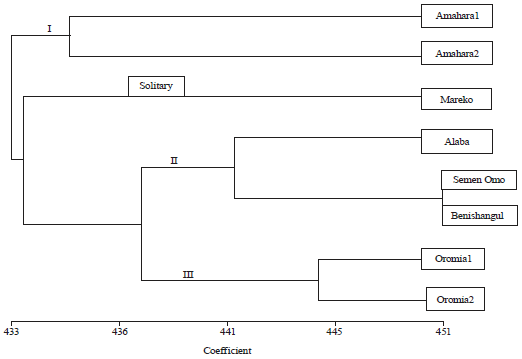 Image for - Genetic Diversity Study of Ethiopian Hot Pepper Cultivars (Capsicum species) Using Inter Simple Sequence Repeat (ISSR) Marker