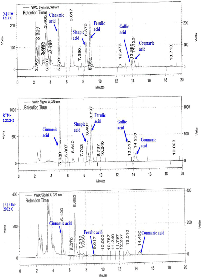 Image for - Fusarium oxysporum Induced Defense Response in Resistant and Susceptible Cultivars of Eruca sativa (Miller)