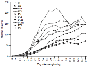 Image for - Effects of Different Media Composition on Growth and Productivity of Oryza sativa L.
