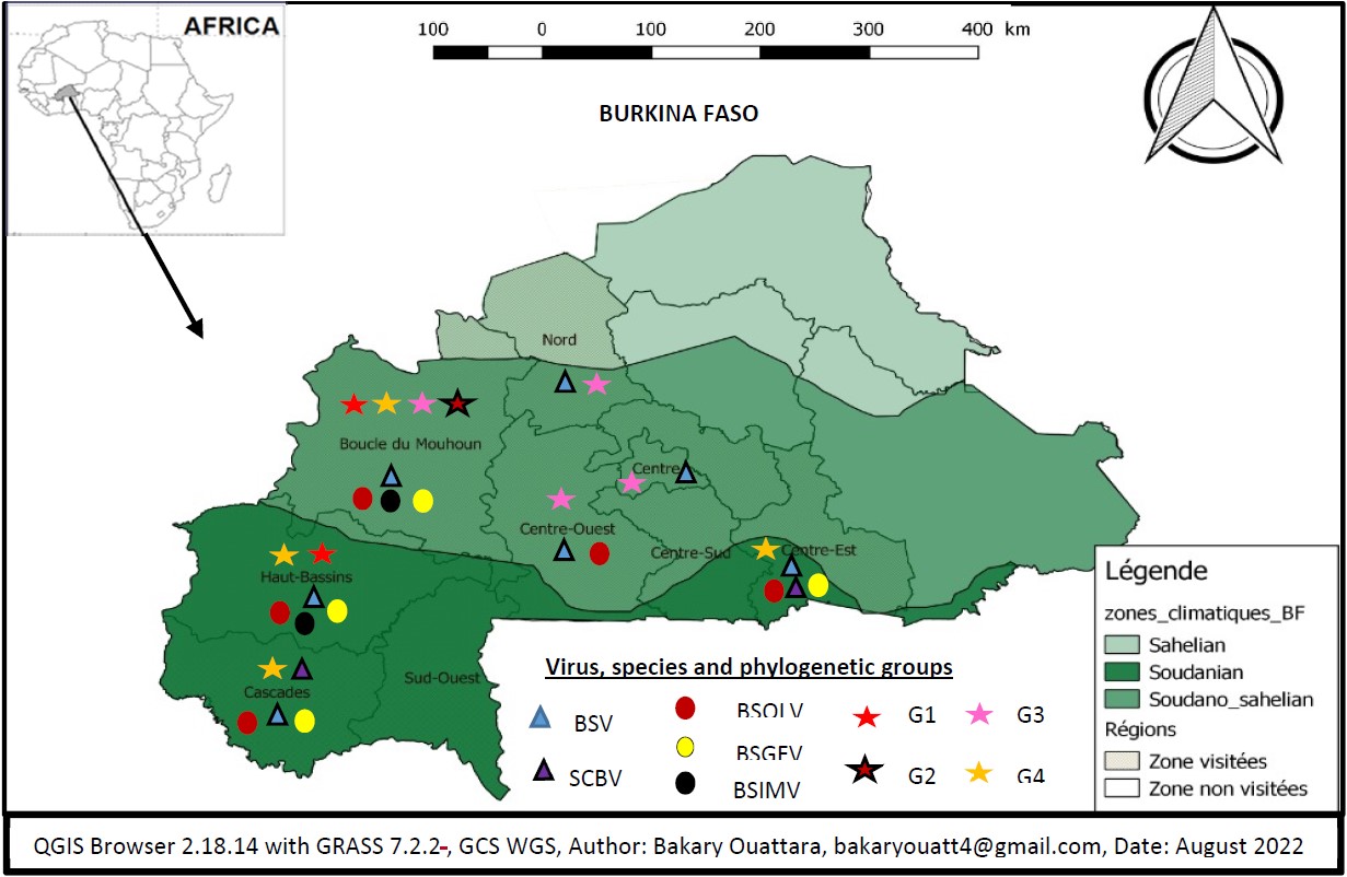 Image for - Analysis of Agro-Ecological Factors Related to the Prevalence and Diversity of Badnavirus in the Banana Production Areas of Burkina Faso