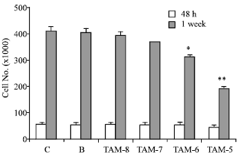 Image for - Differential Expression of TS and TP in Tamoxifen Resistant Subline of Human  Breast Cancer T47D Cells
