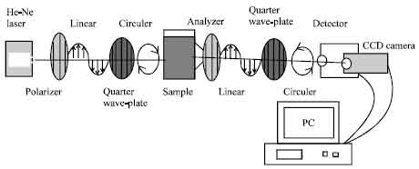 Image for - Measurements of the Optical Properties of Breast Tissues in vitro Using Mueller Matrix Polarimetry