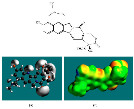 Image for - Molecular Modelling Analysis of the Metabolism of Topotecan