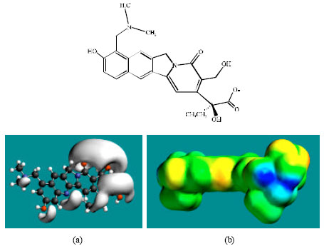 Image for - Molecular Modelling Analysis of the Metabolism of Topotecan