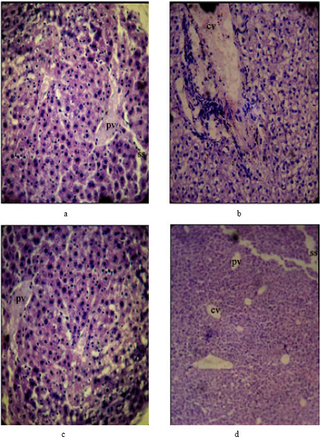 Image for - DEN-Induced Cancer and its Alleviation by Anisomeles malabarica (L.) R.Br. Ethanolic Leaf Extract in Male Albino Mice