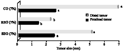 Image for - A Comparison of Rice Bran, Corn Oil and Soybean Oil Against Azoxymethane Induced Colon Cancer in a Fisher 344 Rat Model