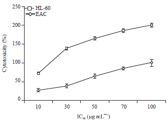 Image for - Chloroform Extract of Solanum trilobatum Inhibits the Progress of Ehrlich Ascites Carcinoma in Mice