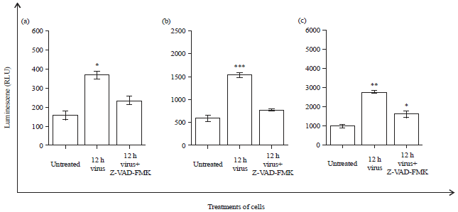 Image for - Antiproliferative and Apoptotic Effect of Newcastle Disease Virus(NDV) Strain AF2240 in Human Promyelocytic Leukemia Cells(HL60)