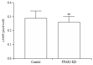 Image for - Role of Free Fatty Acid Receptor (FFAR3) in Growth and Proliferation of Colorectal Cancer Cell Line