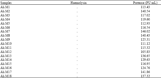 Image for - Typing of Haemolytic and Antibiotic Resistant Aeromonas hydrophila Isolated from Raw Milk of Coimbatore, South India