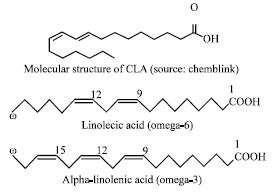 Image for - Conjugated Lenoleic Acid: A Good Fat for Human Health-A Review