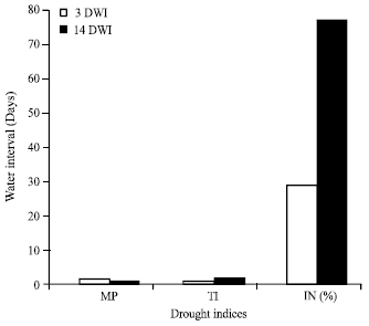Image for - Genetic Estimates of Water Stress in Tomato (Lycopersicum esculentum)