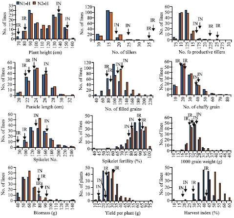 Image for - Identification and Mapping of Landrace Derived QTL Associated with Yield and its Components in Rice under Different Nitrogen Levels and Environments