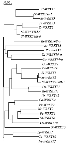 Image for - Expression of Sl-WRKY1 Transcription Factor During B. cinerea tomato Interaction in Resistant and Susceptible Cultivars