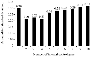 Image for - Identification and Validation of Internal Control Genes for Gene Expression in Wheat Leaves Infected by Strip Rust