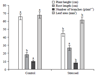 Image for - Effect of Water Deficit during Germination and Flowering Period of Grass Pea (Lathyrus sativus L.)