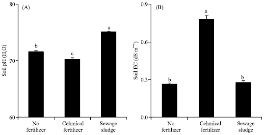 Image for - Effects of Sewage Sludge Application on Rice Growth, Soil Properties, and N Fate in Low Fertile Paddy Soil
